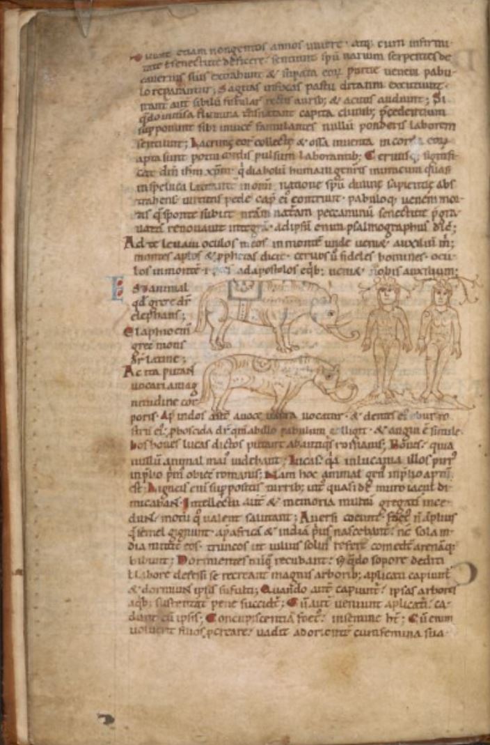 Sample page - British Library Stowe MS 1067