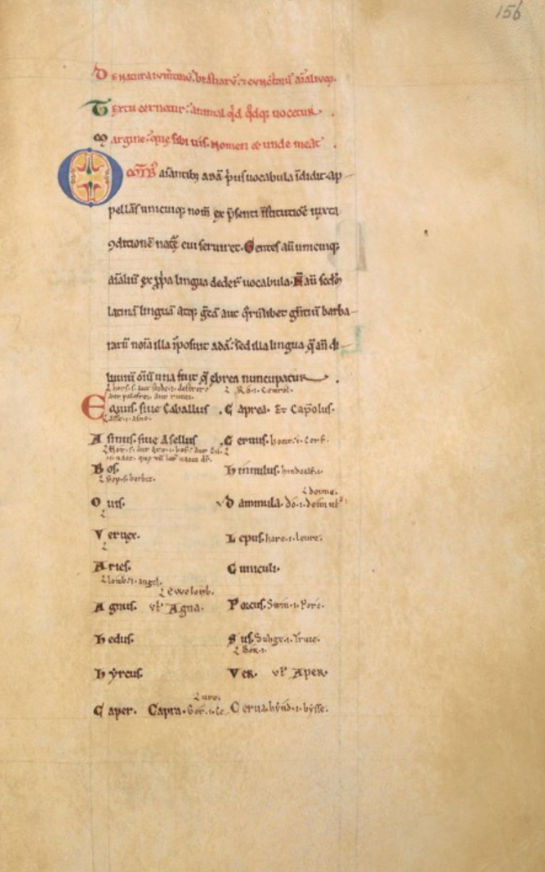 Sample page - British Library Stowe 57