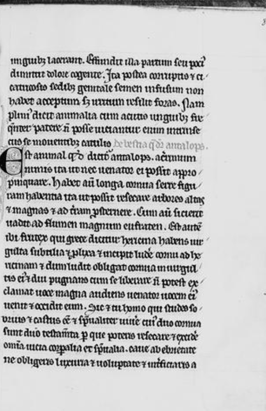 Sample page - Bibliothèque Municipale de Le Mans 84