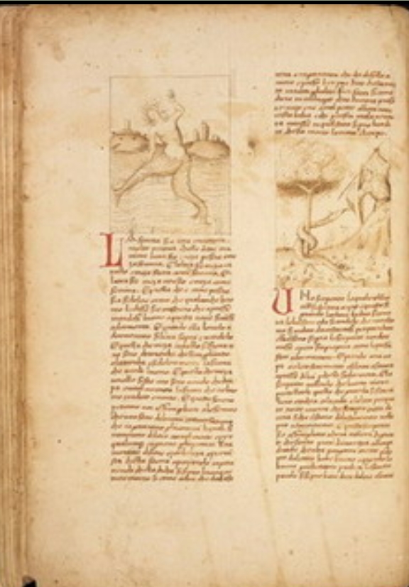 Sample page - Biblioteca Medicea Laurenziana Ashb.649