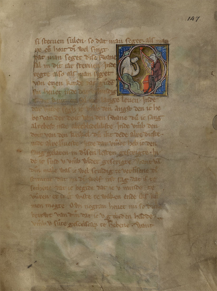 Sample page - Niedersächsischen Landesbibliothek Ms IV, 369