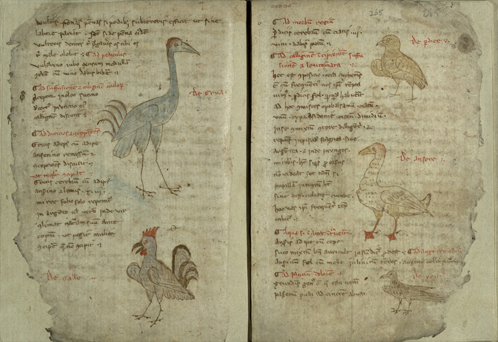 Sample page - Trinity College Library O.2.48