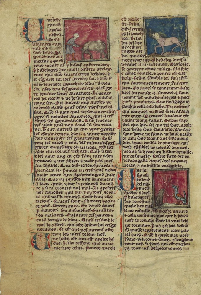 Sample page - Bibliothèque Nationale de France NAF 13521