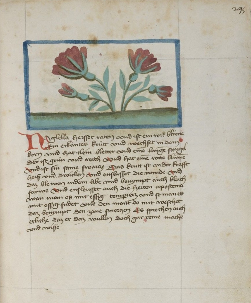 Sample page - Universitätsbibliothek Heidelberg Cod. Pal. germ. 311