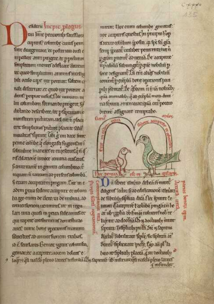 Sample page - Mediathèque Jacques-Chirac (BM Troyes) Ms 177