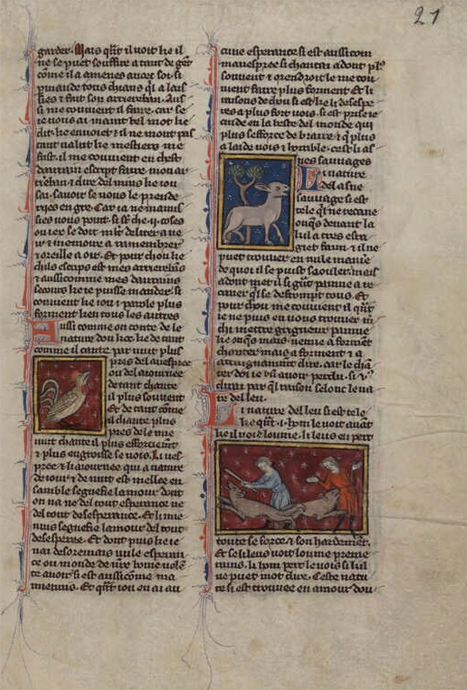 Sample page - Bibliothèque Municipale de Dijon Ms. 526