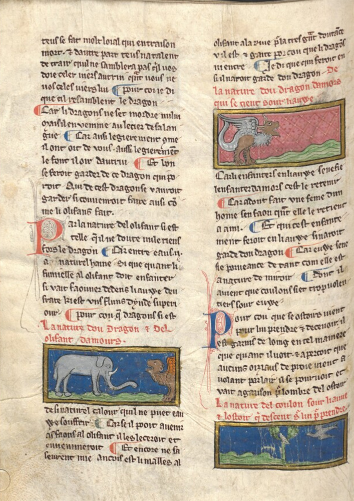 Sample page - Osterreichische Nationalbibliothek Cod. 2609