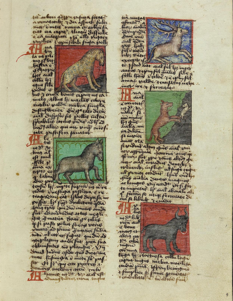 Sample page - Biblioteca Apostolica Vaticana Pal. lat. 1066
