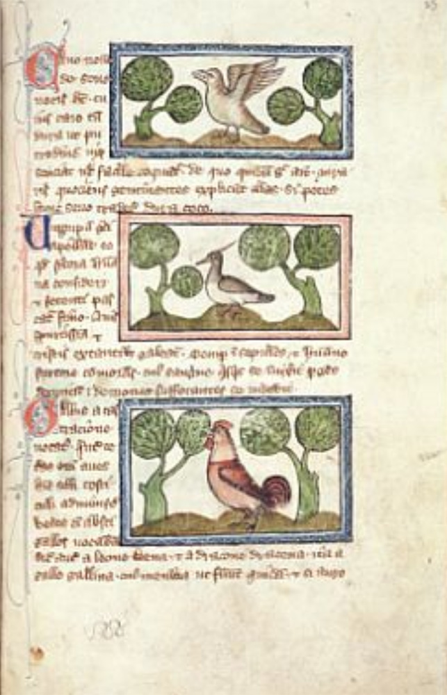 Sample Page - Fitzwilliam Museum MS 379