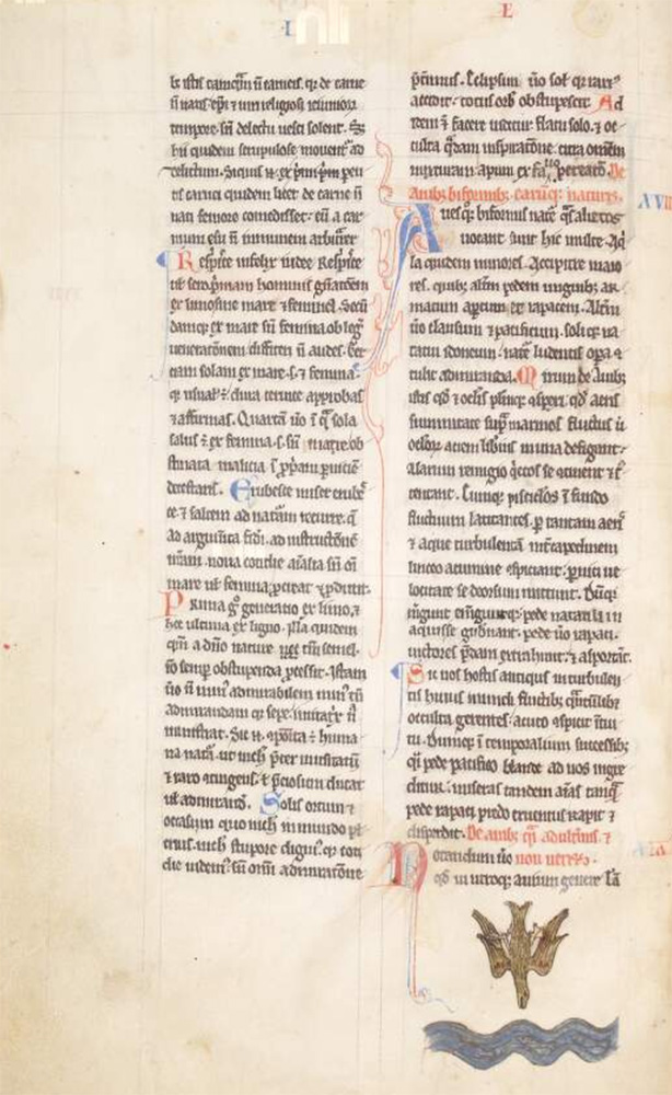Sample page - National Library of Ireland MS 700