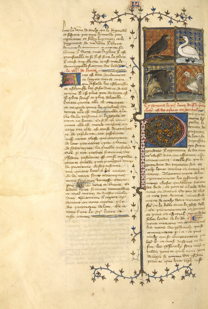 Sample page - Bibliothèque du Château de Chantilly (Musée Condé) MS 339