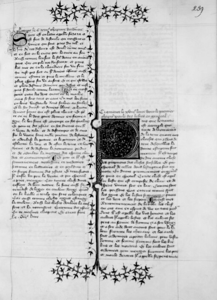 Sample page - Bibliothèque Nationale de France fr. 217