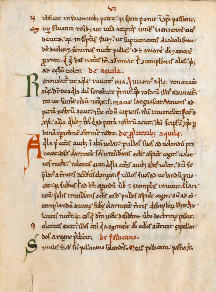 Sample page - Bibliothèque Universitaire Historique de Médecine (Montpellier) H. 499