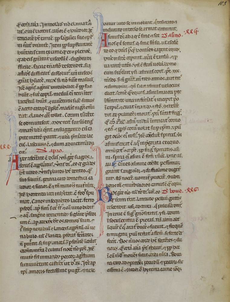 Sample page - Bibliothèque Municipale de Chambéry MS 30
