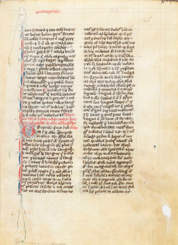 Sample page - Bibliothèque Nationale de France lat. 347C