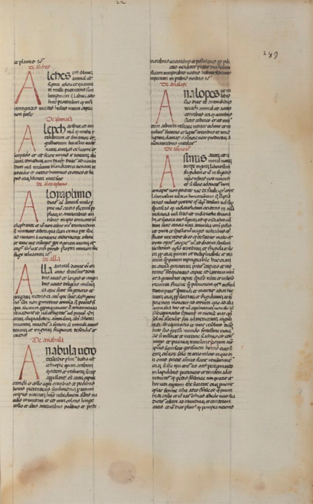Sample page - Bibliothèque Nationale de France lat. 6519