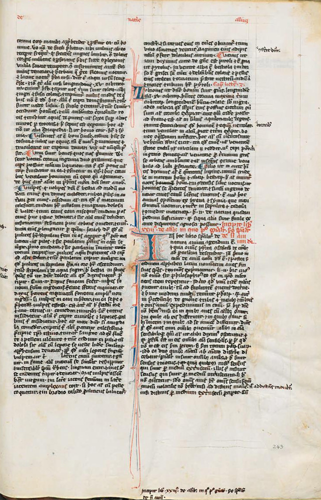 Sample page - Biblioteca Medicea Laurenziana Plut.84.18