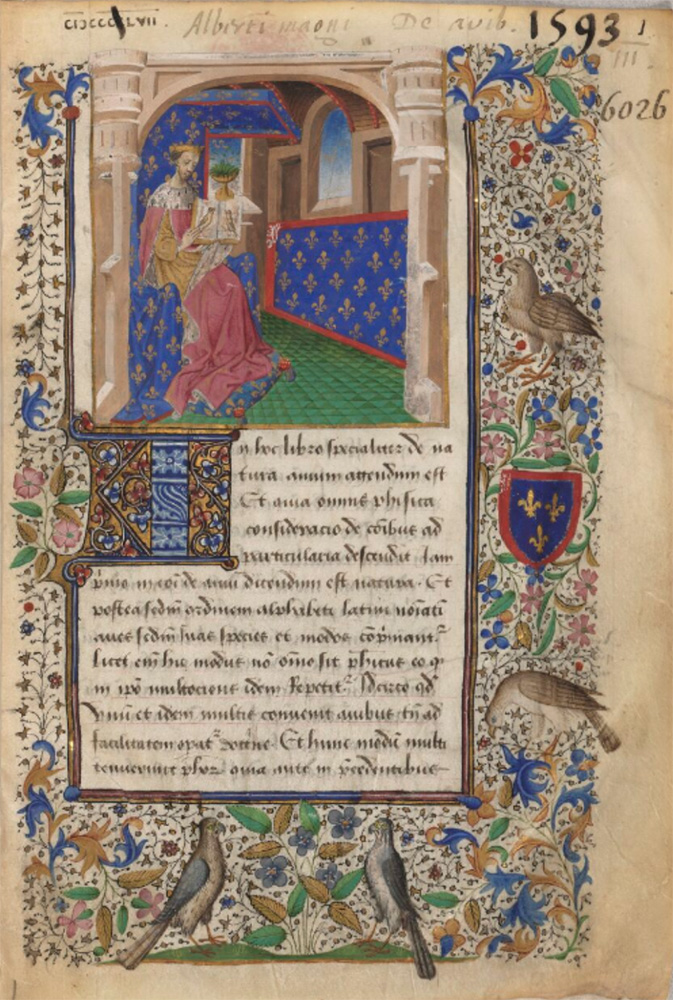 Sample page - Bibliothèque Nationale de France lat. 6749A