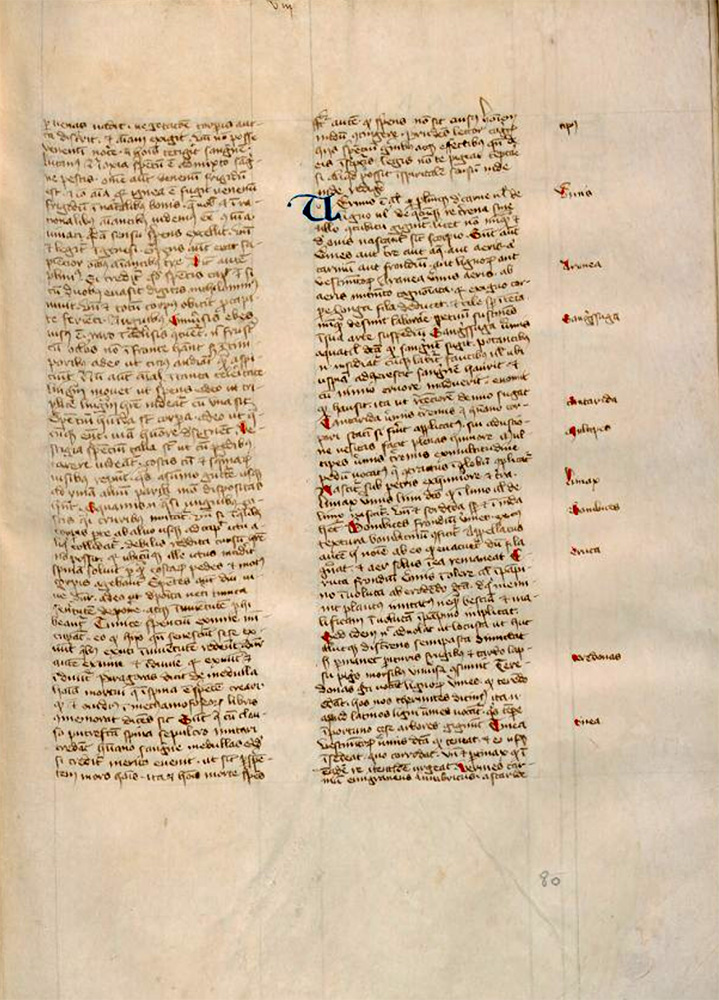 Sample page - Biblioteca Medicea Laurenziana Plut.31 sin.1