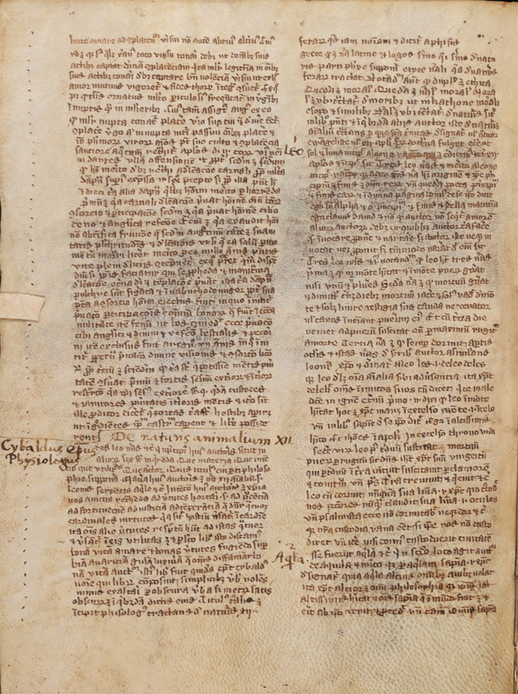 Sample page - Universitätsbibliothek Basel B V 32