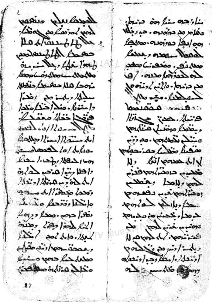 Biblioteca Apostolica Vaticana Vat. sir. 555