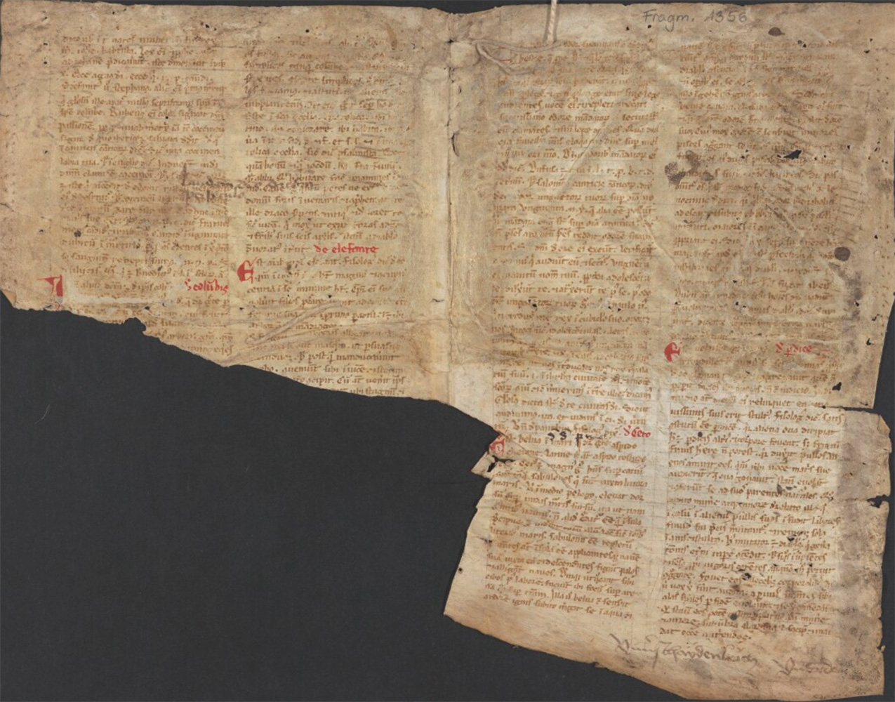 Sample page - Osterreichische Nationalbibliothek Frag. 1356