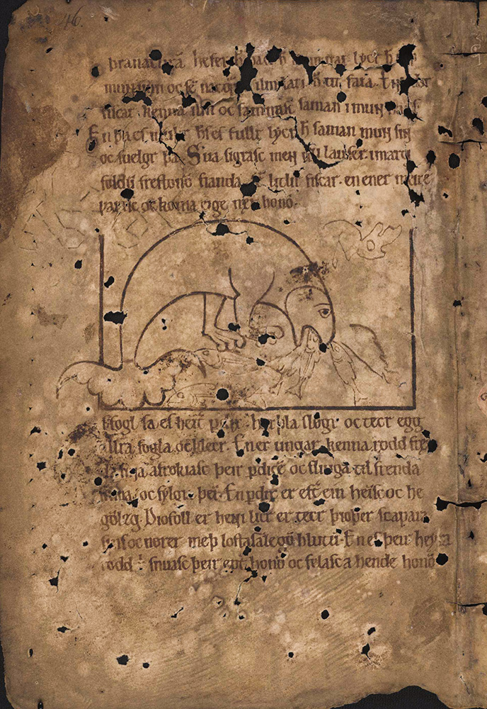 Sample page - Arnamagnæanske Institut  AM 673 a II 4º (Icelandic Physiologus)