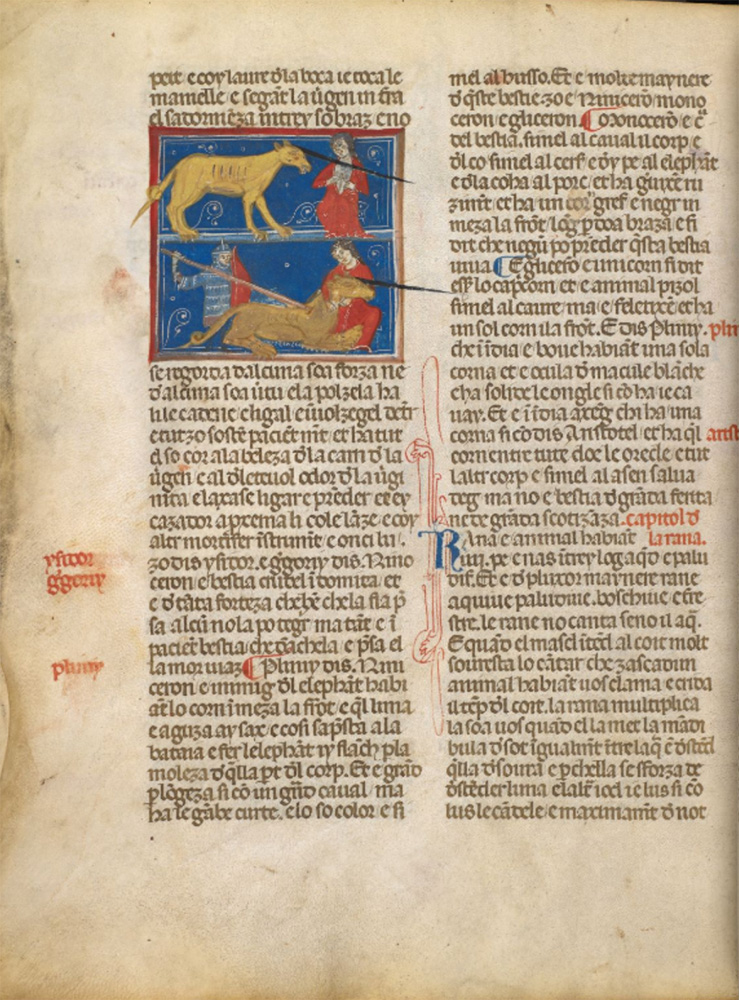 Sample page - British Library Additional MS 8785