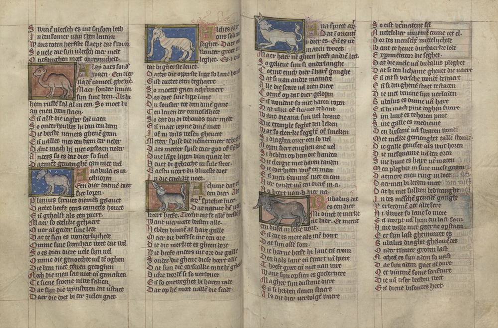 Sample page - Universiteitsbibliotheek Leiden BPL 14