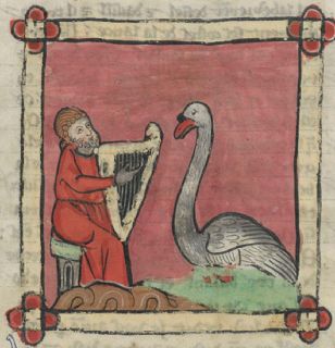 Swan singing with a harpist