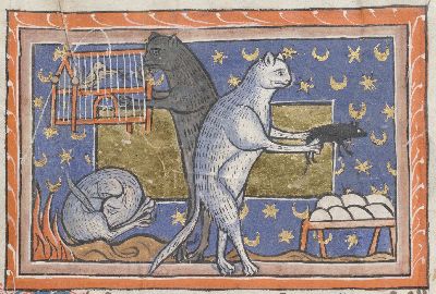 Cat sleeping, cat trying to catch a caged bird, cat with a mouse