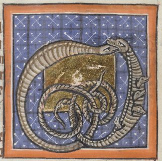 Viper conceiving through the mouth, giving birth from her side