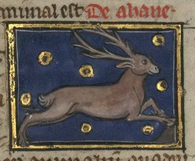 Ahanes drawn as a stag