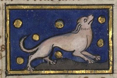 Chimera drawn as a dog