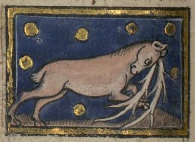 Trogodite with horns pointing down