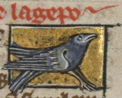 Ptarmigan showing off its feet