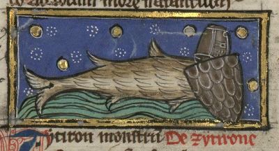 Sea turtle as a fish with helmet and shied