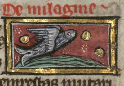 Milago flying over the water