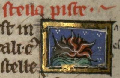 Starfish with fiery heat inside