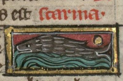 Skate as a generic fish