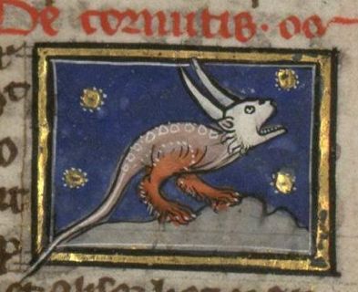 Cornutis serpent with two horns