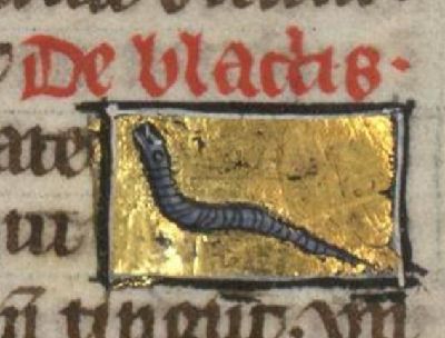 Moth drawn as a worm