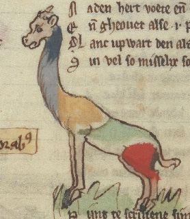 Multi-colored giraffe