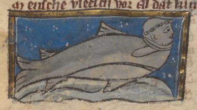 Sea-monk as a fish with a monk's head