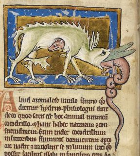 Hydrus eating its way out of a crocodile