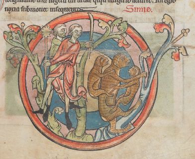 Mother ape with young in front and on back, hunters pursuing