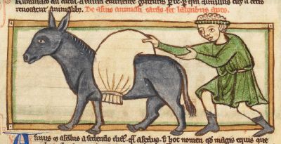 A man loading a sack on an ass